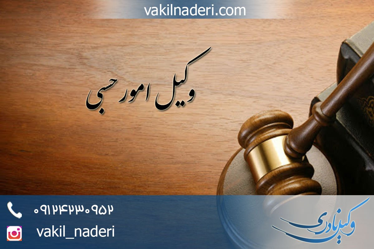 وکیل امور حسبی