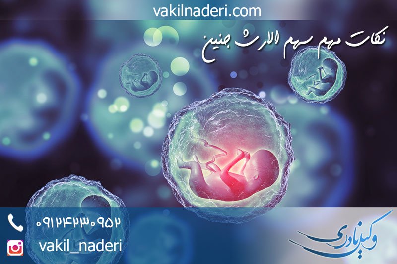 سهم الارث جنین