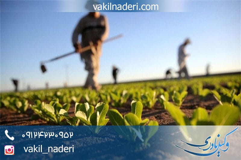 وکیل مطالبه حق زارعانه