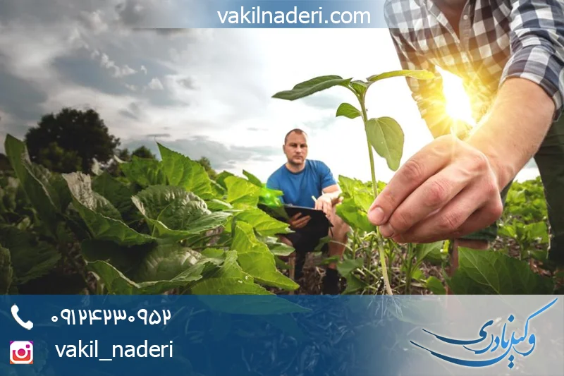 نسق زارعانه