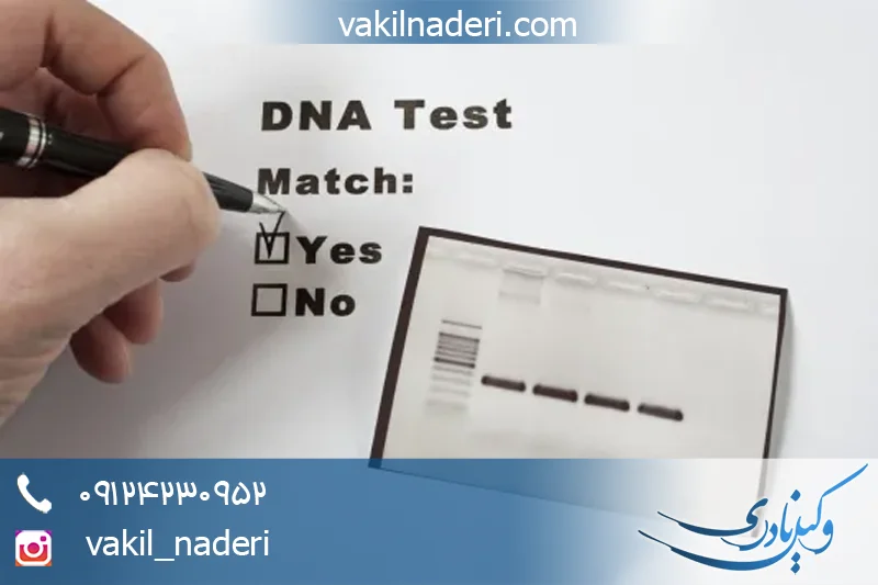 نفی نسب یا انکار نسب یعنی چه؟