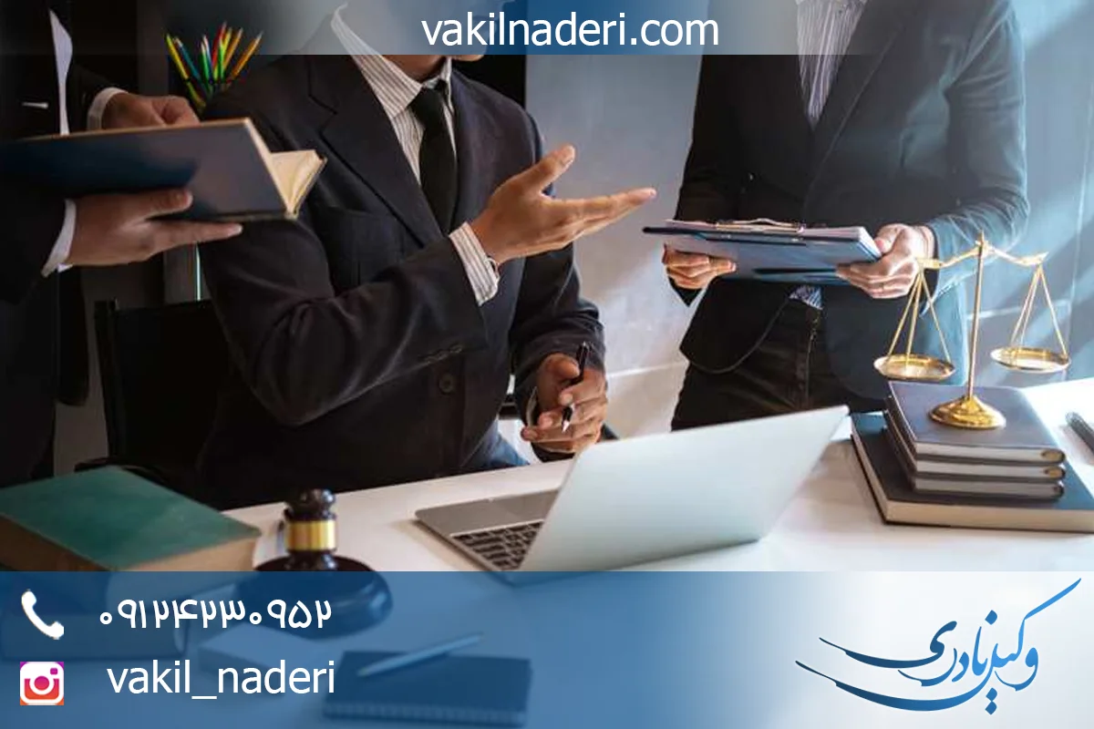 امین در قانون مدنی و امور حسبی